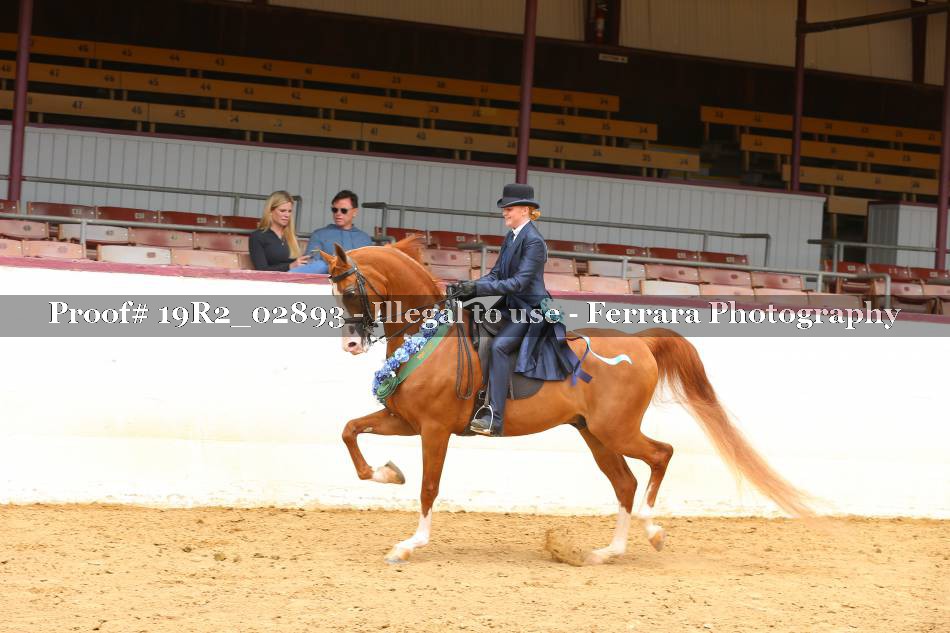 Proof 19R2_02893