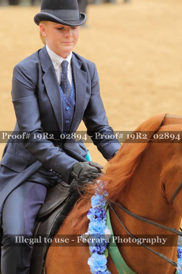 Proof 19R2_02894