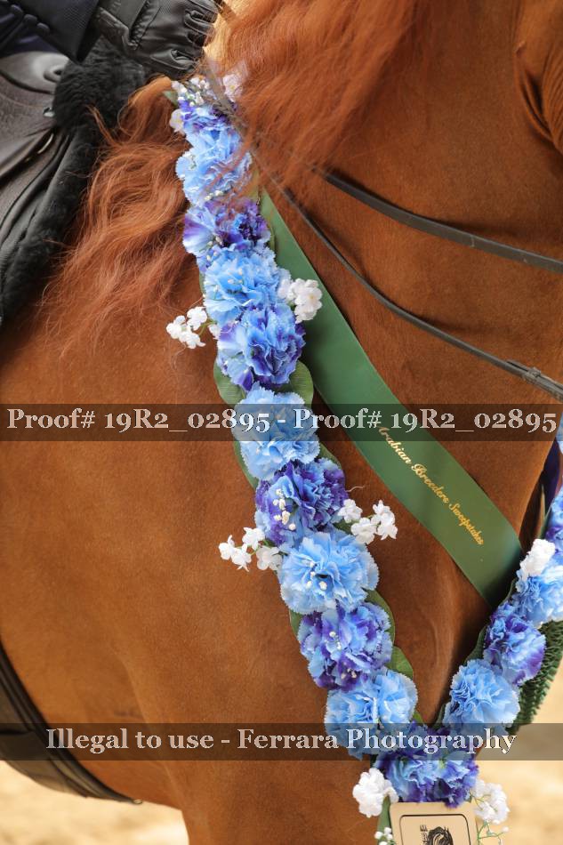 Proof 19R2_02895