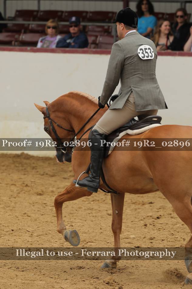 Proof 19R2_02896