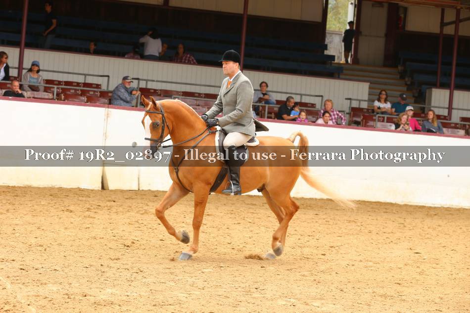 Proof 19R2_02897
