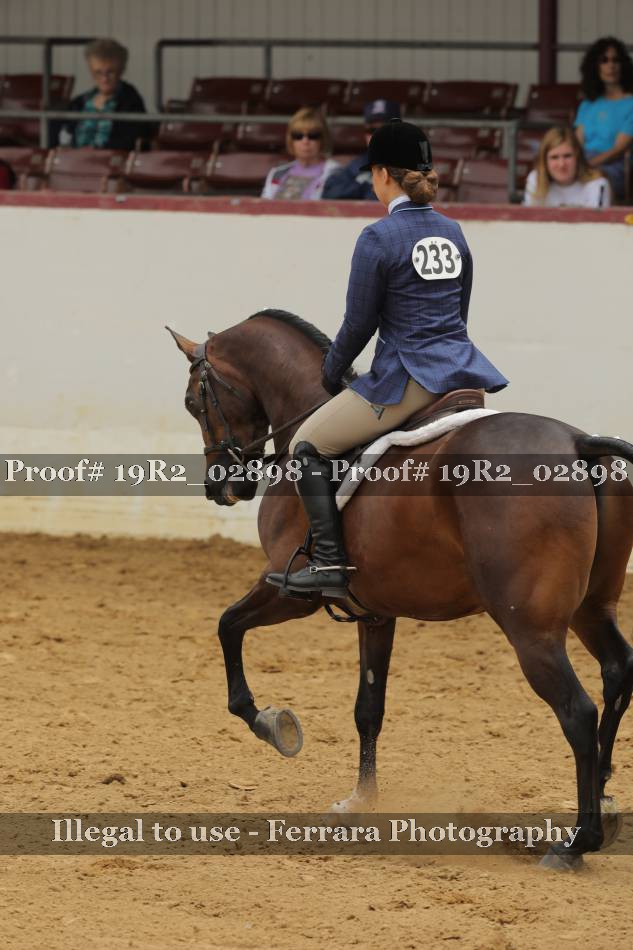 Proof 19R2_02898