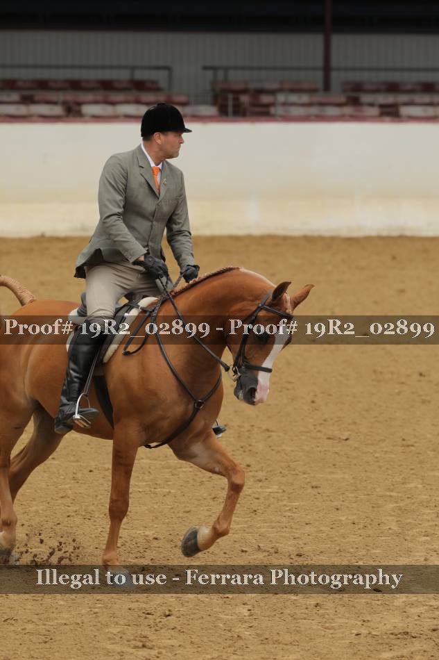 Proof 19R2_02899