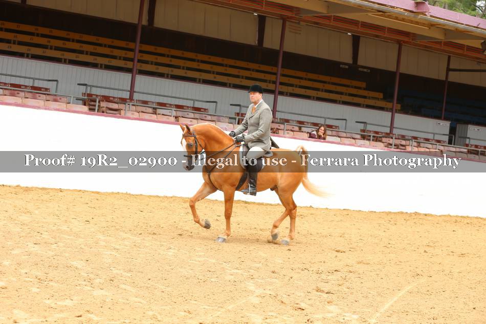 Proof 19R2_02900