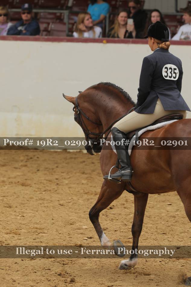 Proof 19R2_02901