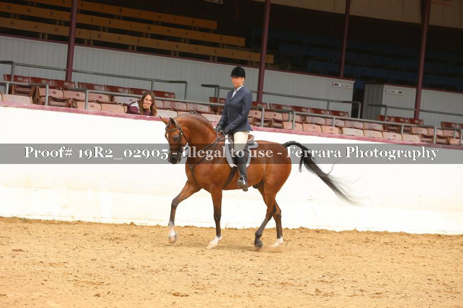 Proof 19R2_02905