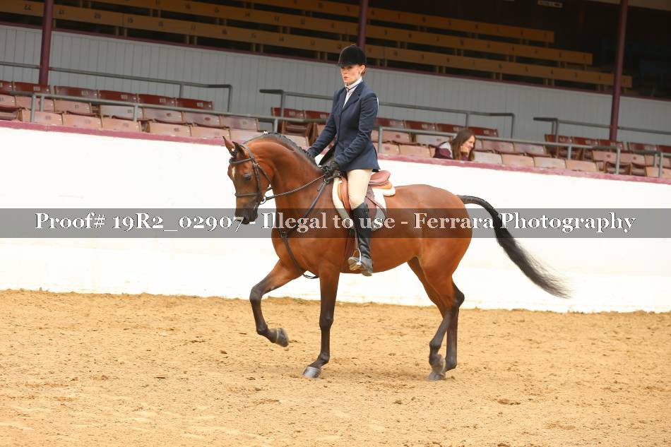 Proof 19R2_02907