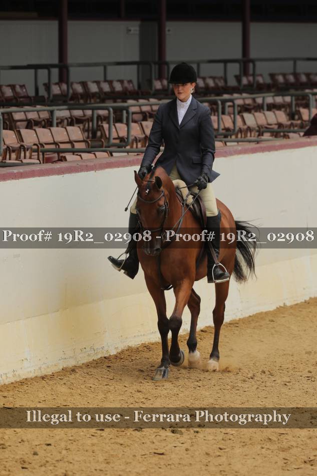 Proof 19R2_02908