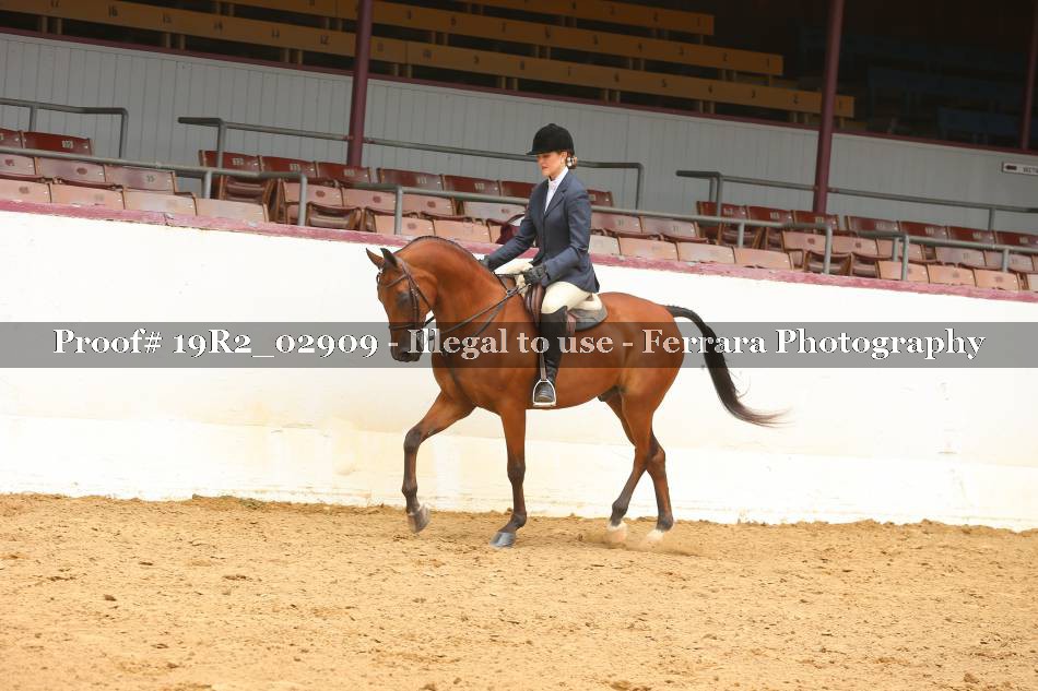 Proof 19R2_02909