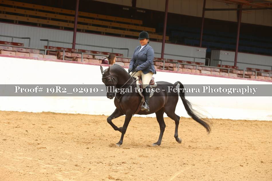 Proof 19R2_02910
