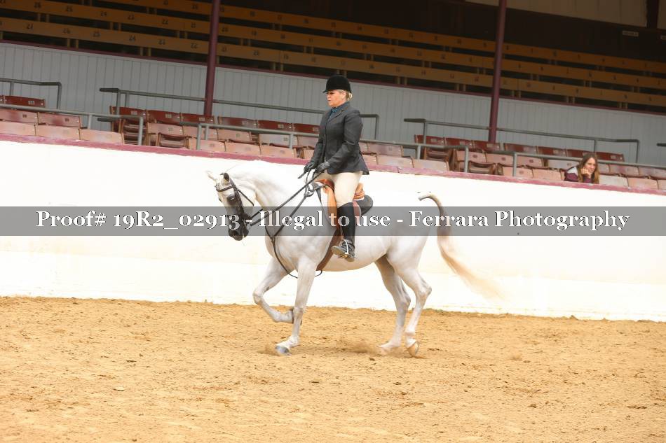 Proof 19R2_02913