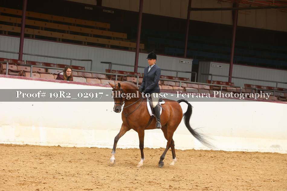 Proof 19R2_02917