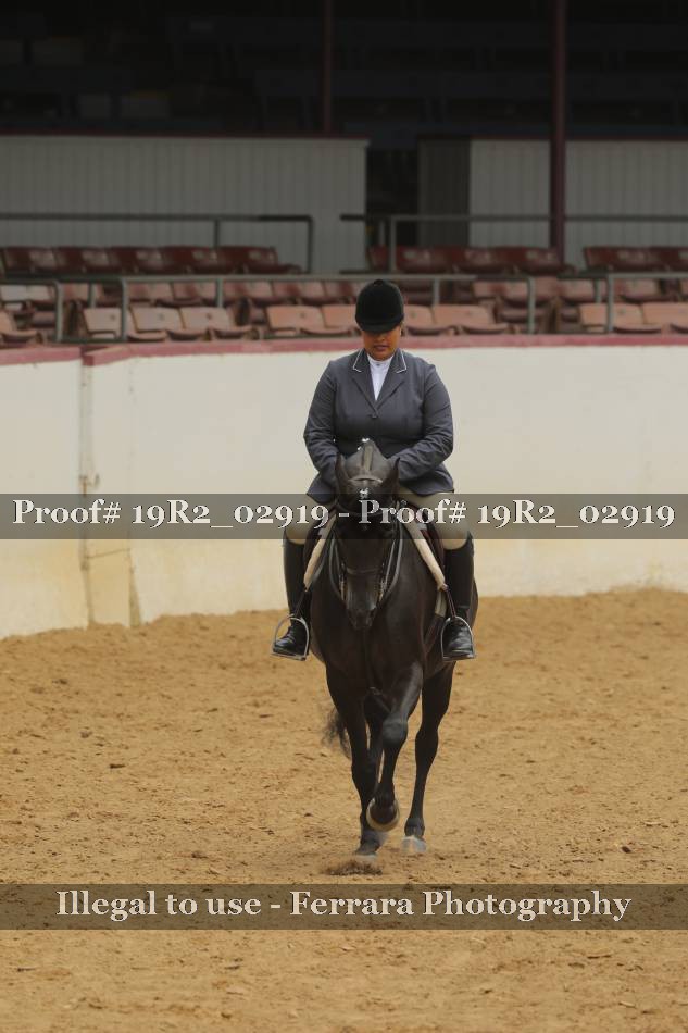 Proof 19R2_02919