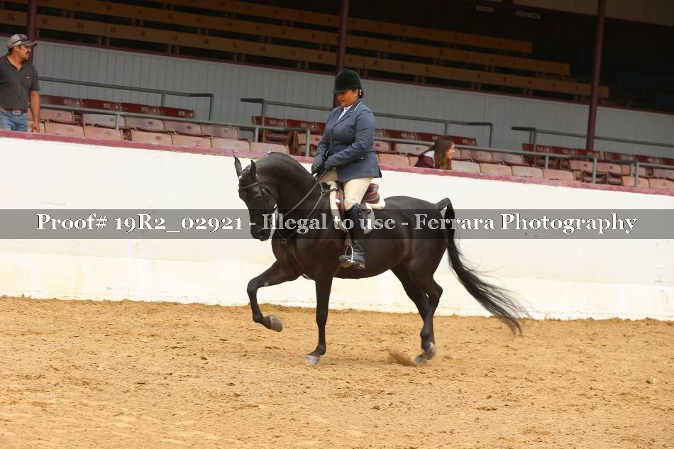 Proof 19R2_02921