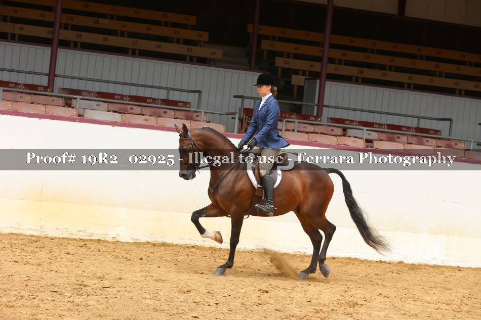 Proof 19R2_02925