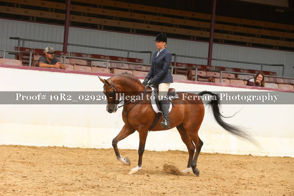 Proof 19R2_02929