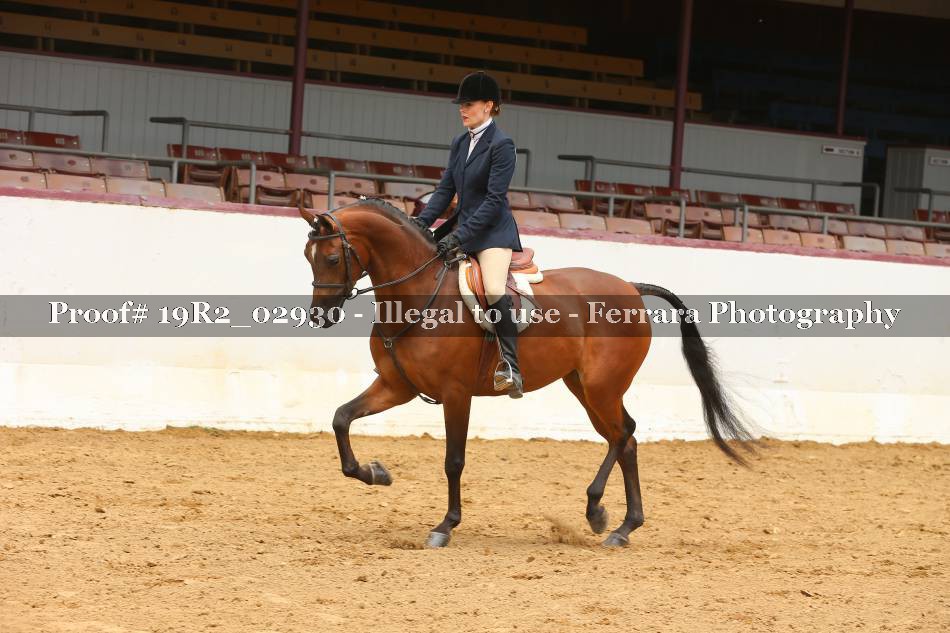 Proof 19R2_02930