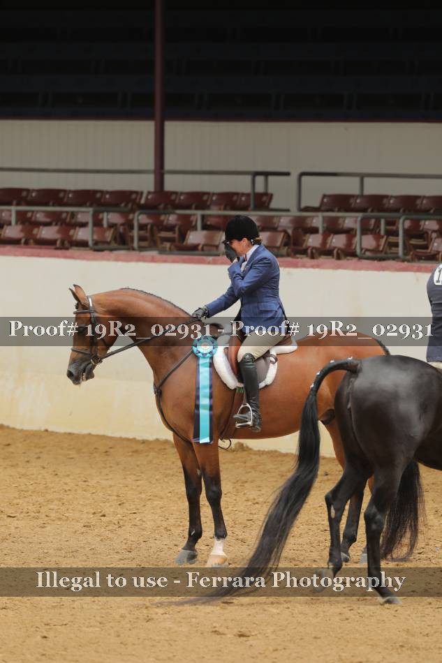 Proof 19R2_02931