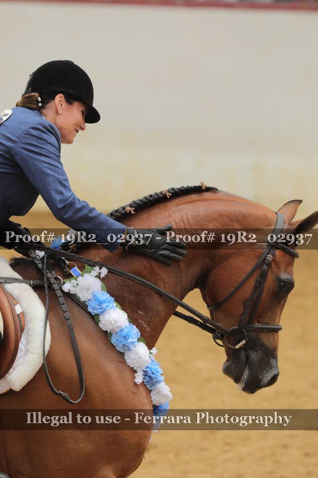 Proof 19R2_02937