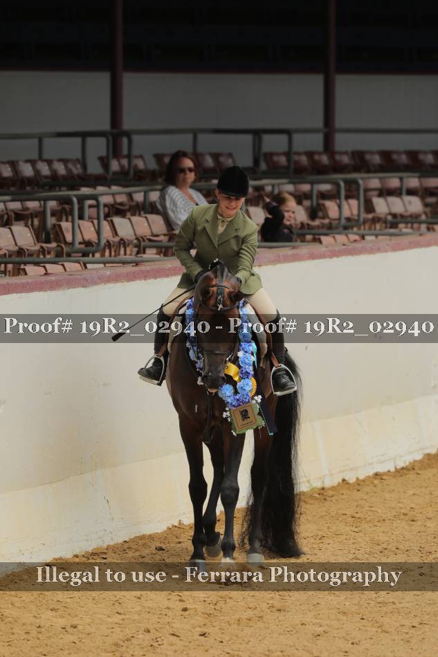 Proof 19R2_02940