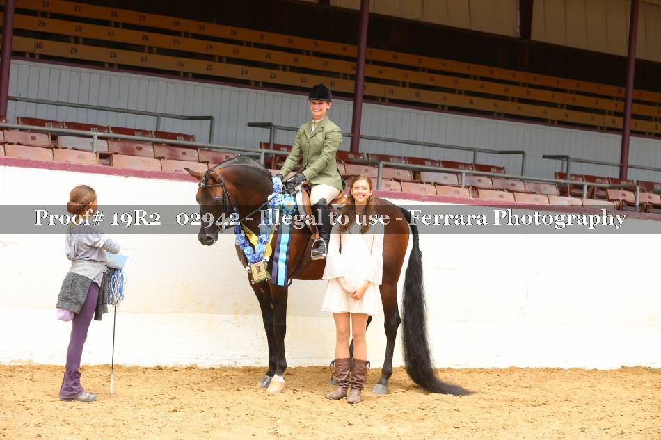 Proof 19R2_02942