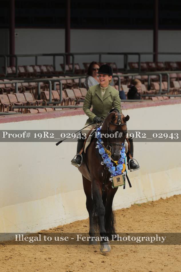 Proof 19R2_02943