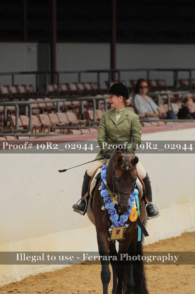 Proof 19R2_02944