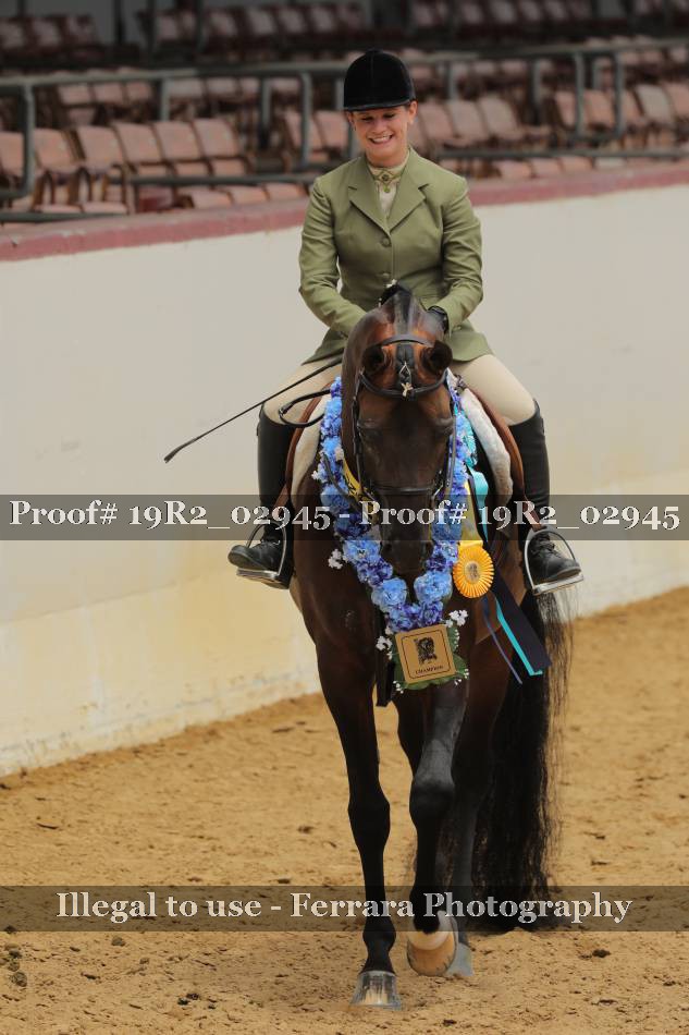 Proof 19R2_02945