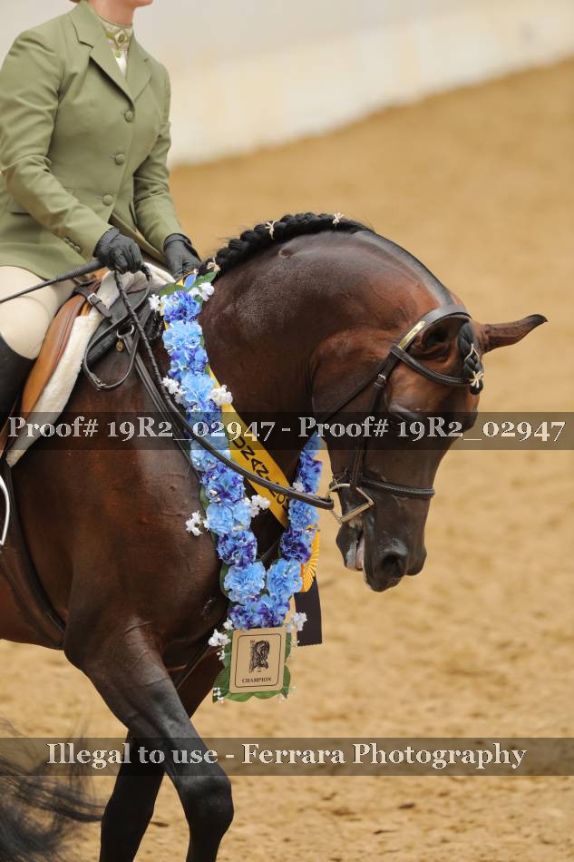 Proof 19R2_02947