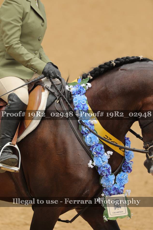 Proof 19R2_02948