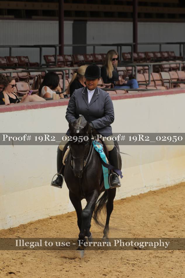 Proof 19R2_02950