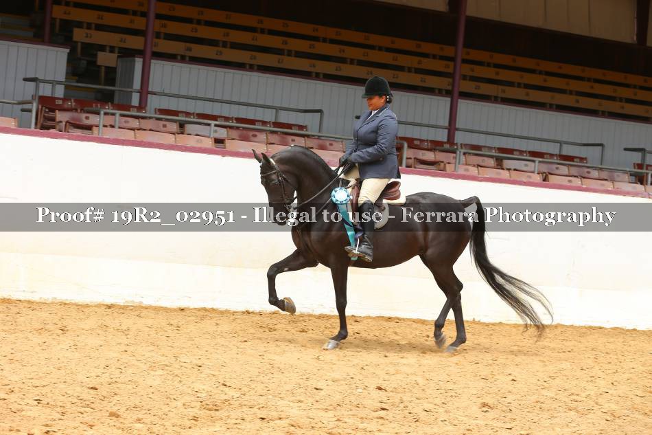 Proof 19R2_02951