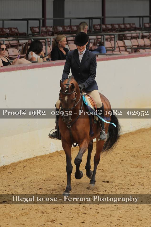 Proof 19R2_02952