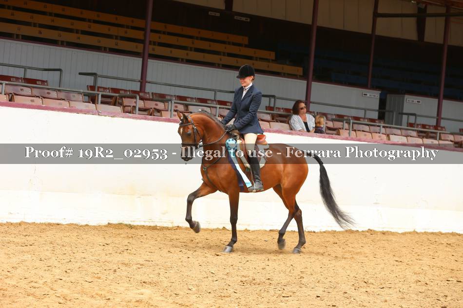 Proof 19R2_02953