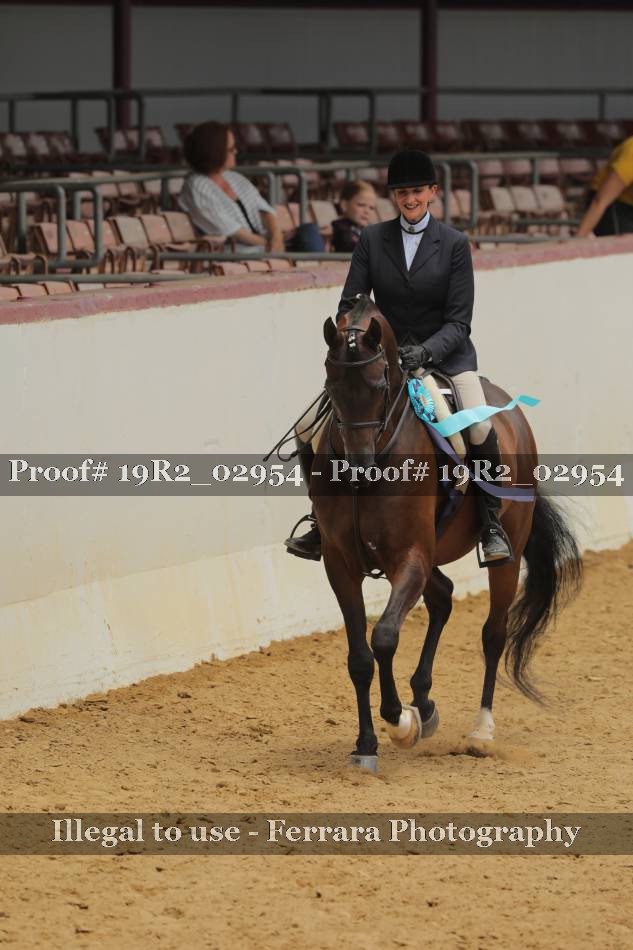 Proof 19R2_02954