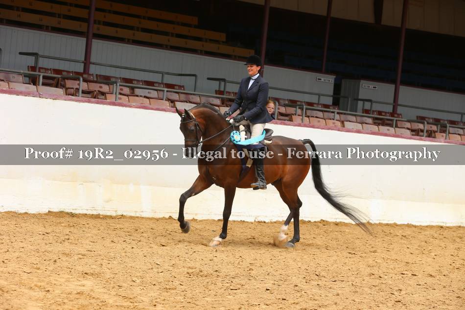 Proof 19R2_02956