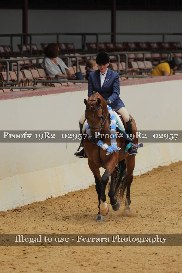 Proof 19R2_02957