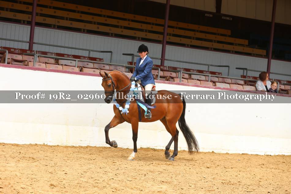Proof 19R2_02960