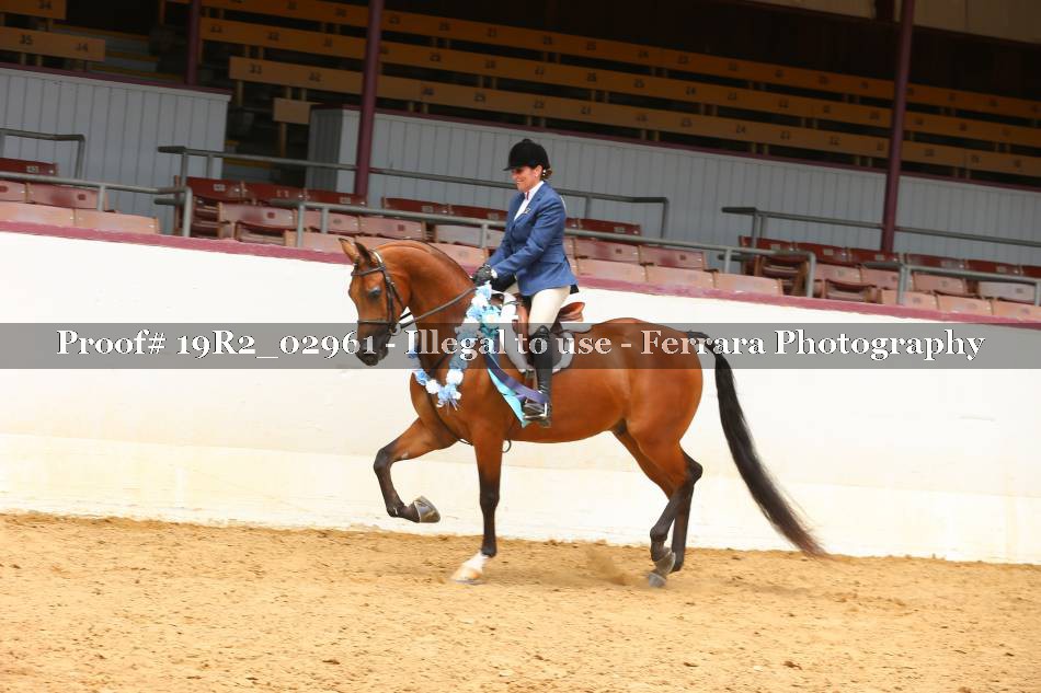 Proof 19R2_02961
