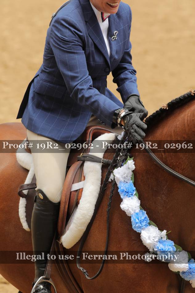 Proof 19R2_02962