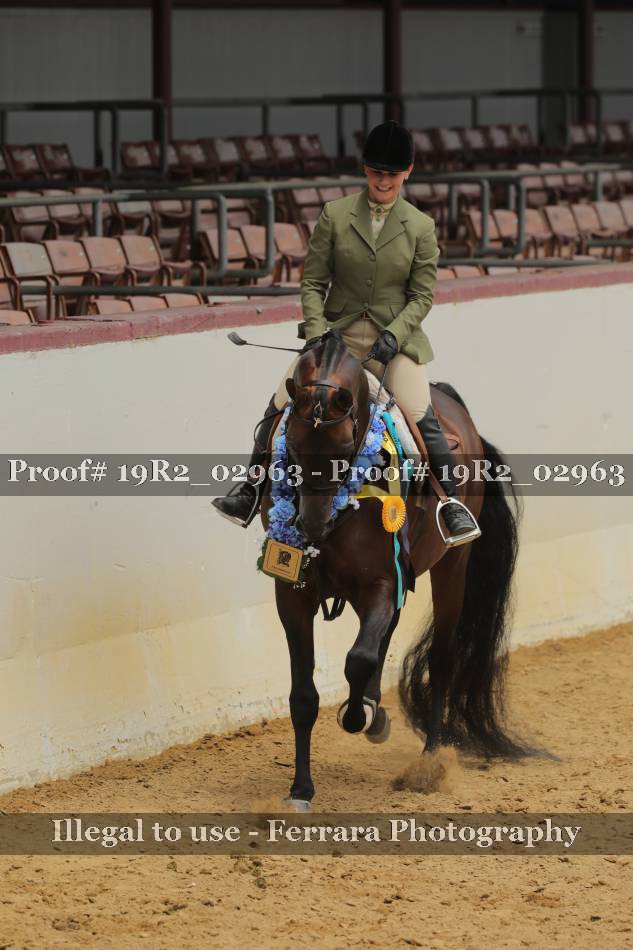 Proof 19R2_02963