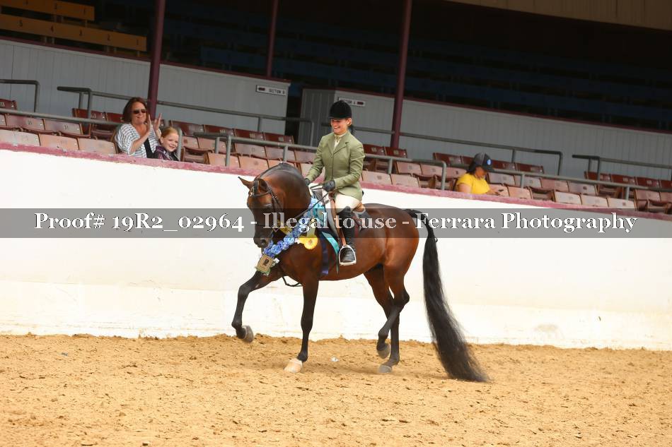 Proof 19R2_02964