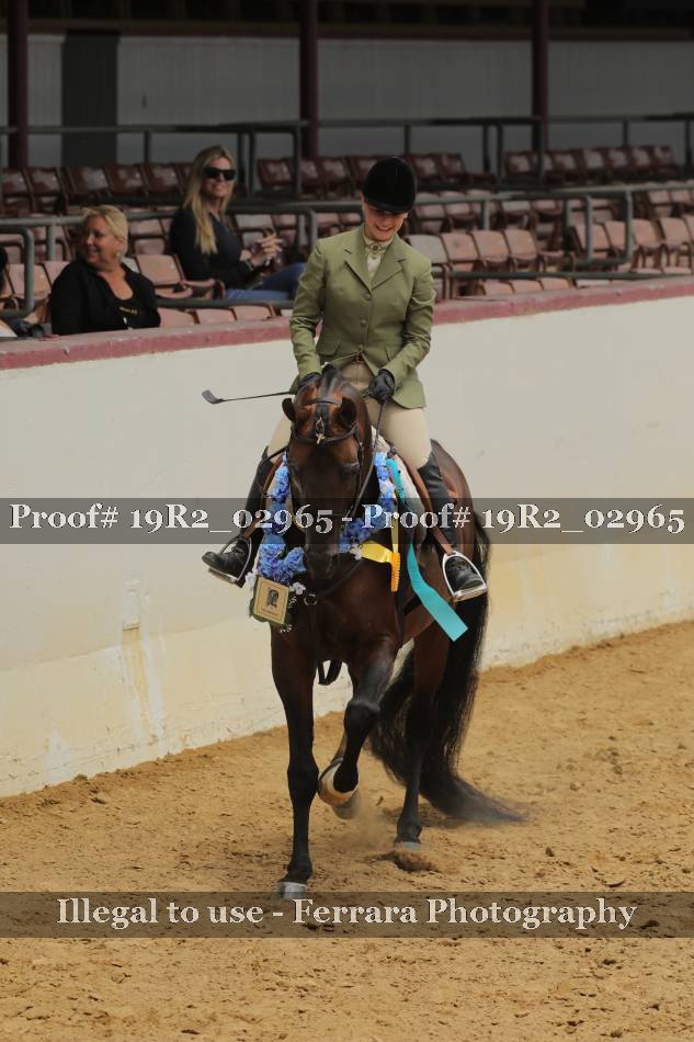 Proof 19R2_02965