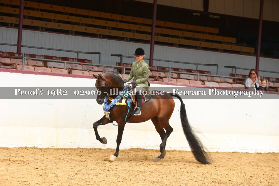 Proof 19R2_02966