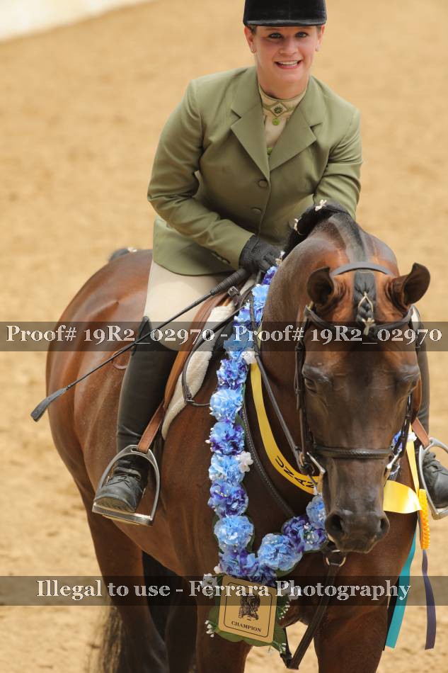 Proof 19R2_02970