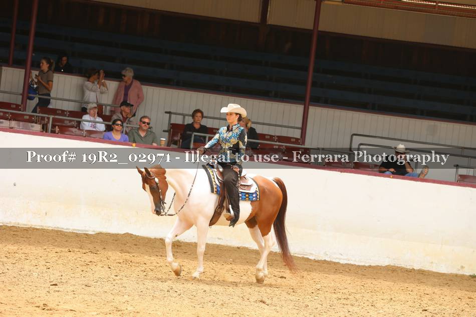 Proof 19R2_02971