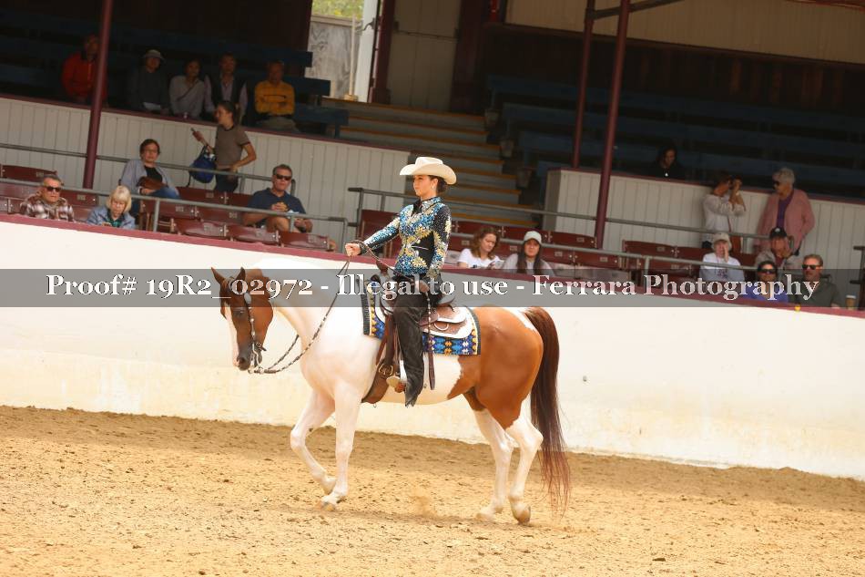 Proof 19R2_02972