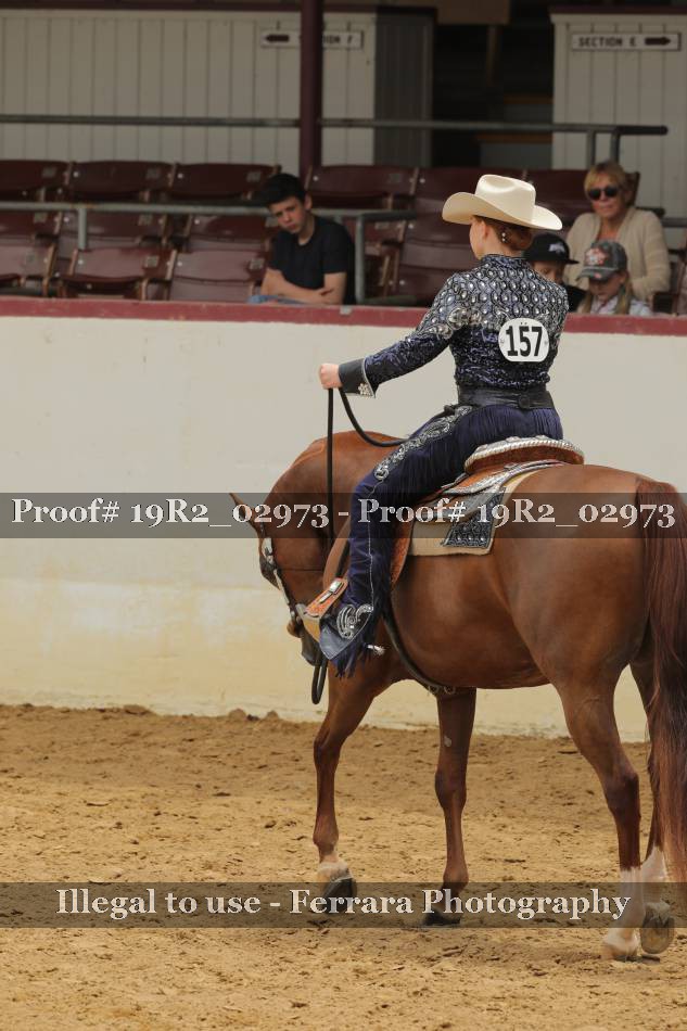 Proof 19R2_02973