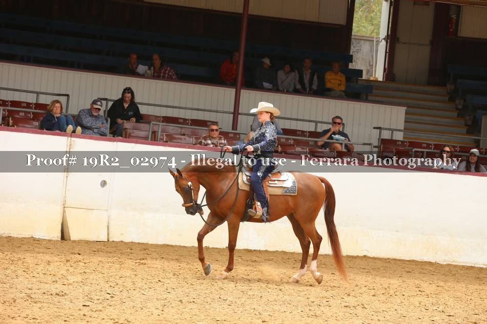 Proof 19R2_02974