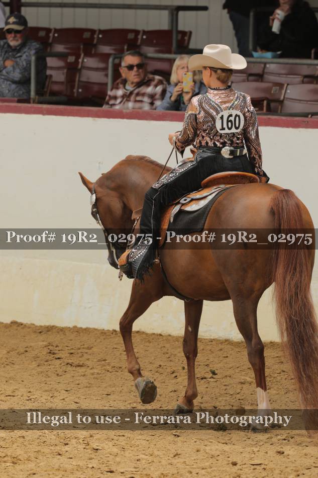 Proof 19R2_02975